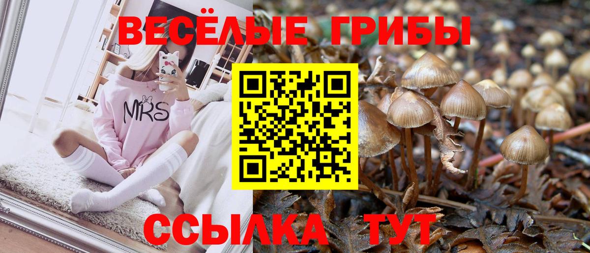 Аксай  Псилоцибиновые грибы мицелий  Вход с VPN 