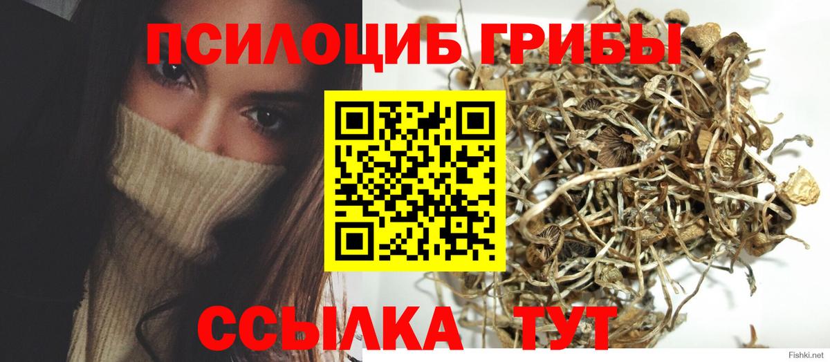 Галлюциногенные грибы Magic Shrooms Аксай